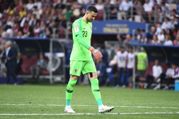 他们代表的 他们代表的