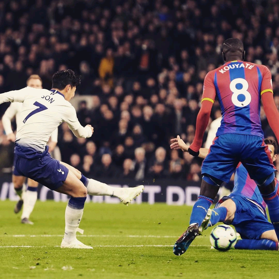 观赛指南和 观赛指南和